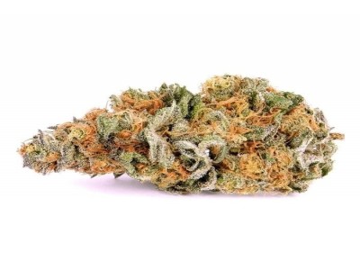 Buy Train Wreck Marijuana Strain Online